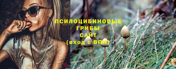 амф Арсеньев